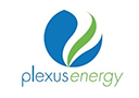 plexus energy blog